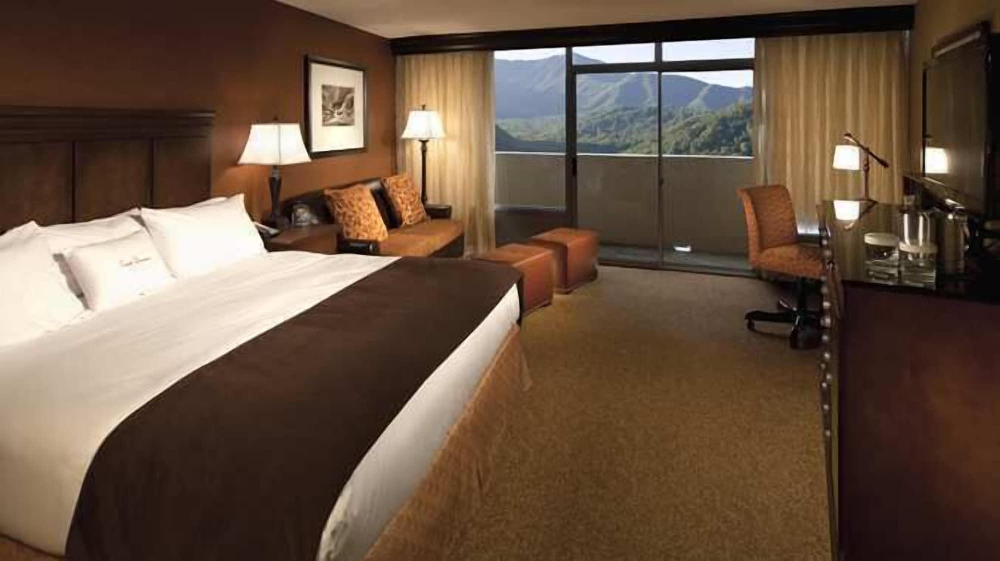 The Park Vista - A Doubletree By Hilton Hotel - Gatlinburg Extérieur photo