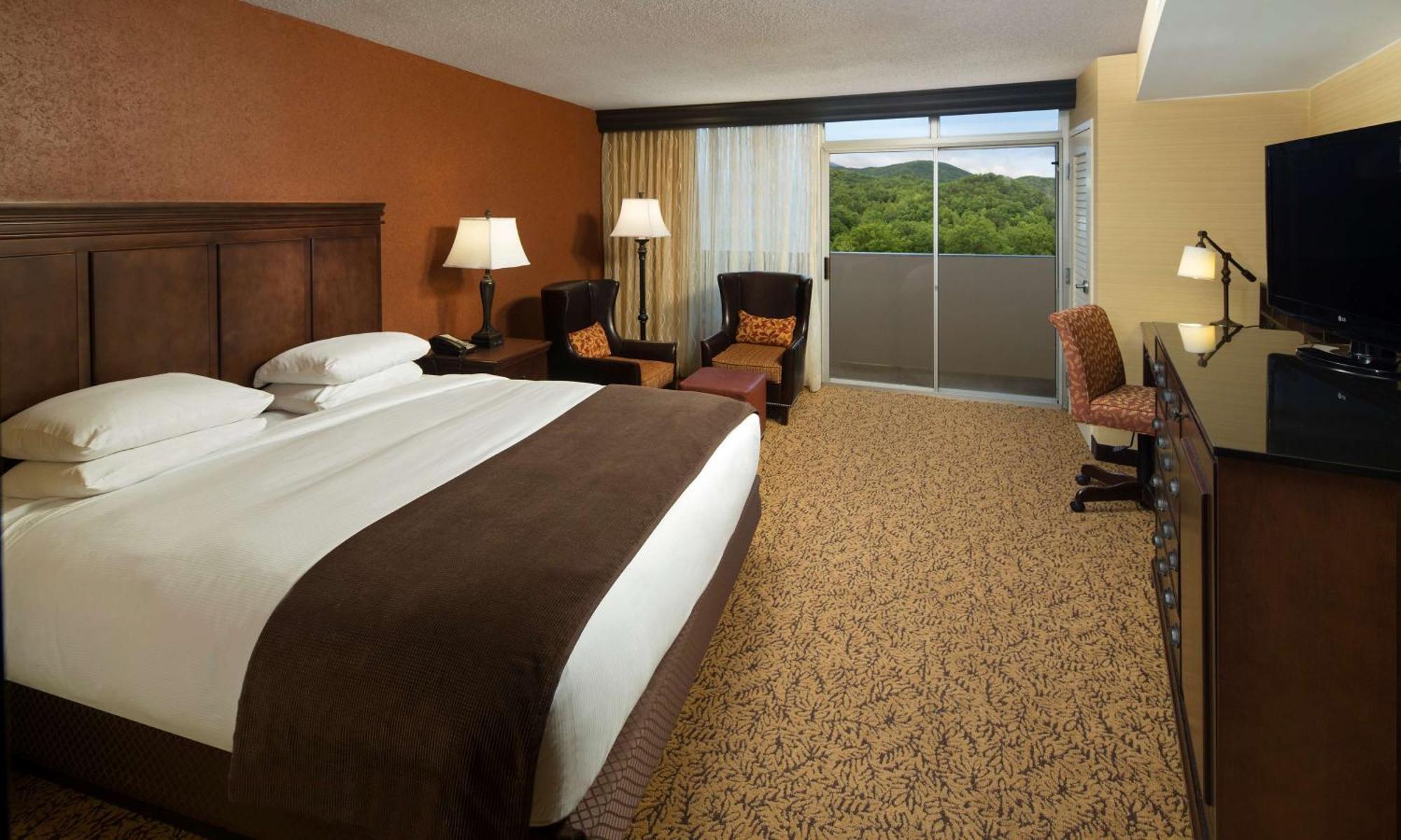 The Park Vista - A Doubletree By Hilton Hotel - Gatlinburg Extérieur photo